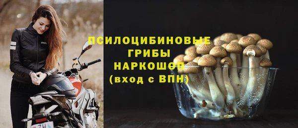 дмт Балахна