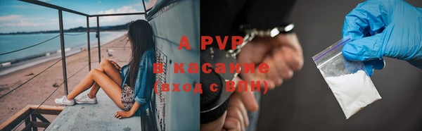 прущие крисы Баксан