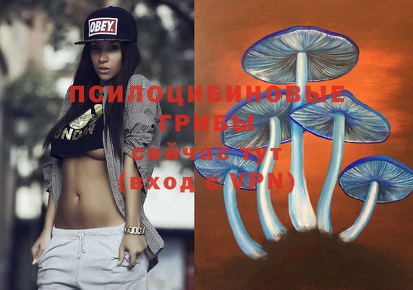 дмт Балахна