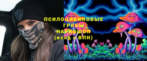 дмт Балахна