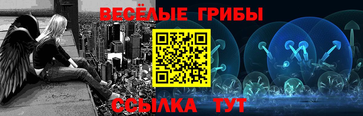 Псилоцибиновые грибы MAGIC MUSHROOMS Городец