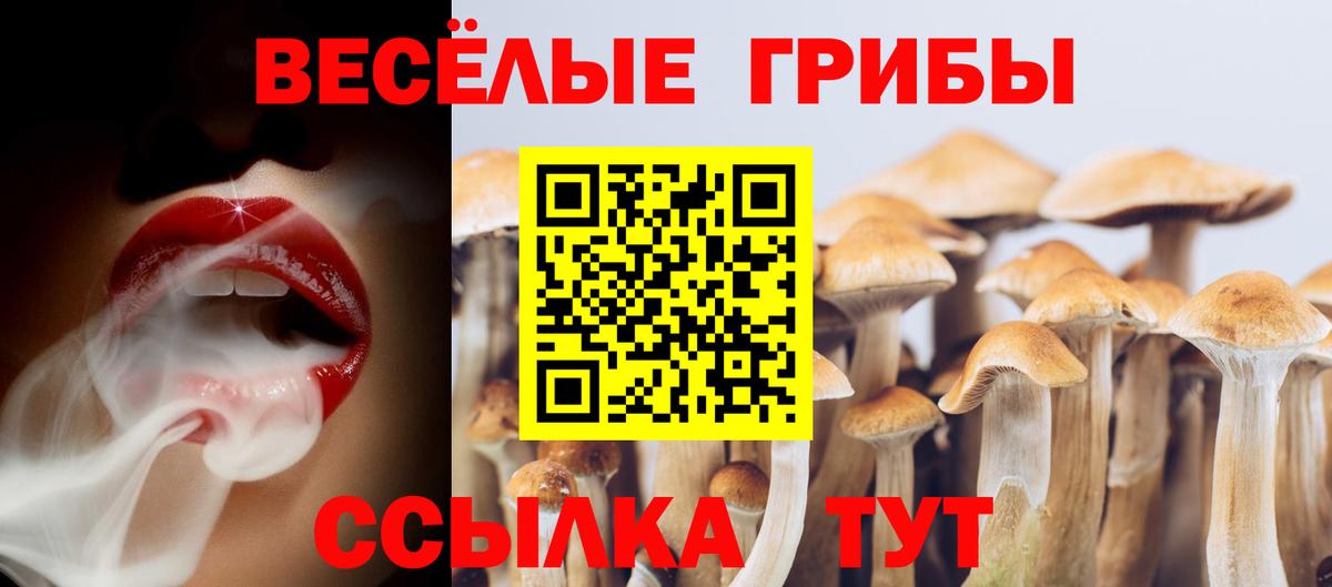 Городец  где найти наркотики  Псилоцибиновые грибы Magic Shrooms  Вход с VPN  Галлюциногенные грибы Cubensis 